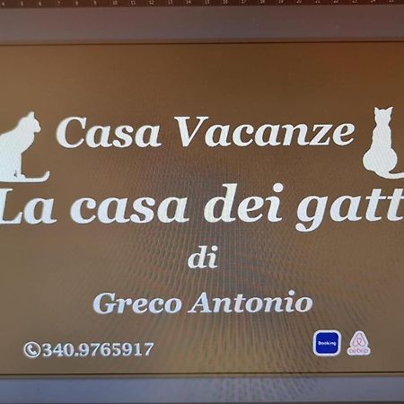La Casa Dei Gatti Apartamento Syracuse Exterior foto